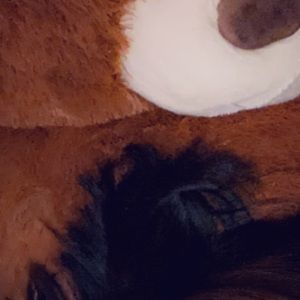 Meet your Posher, Gianna